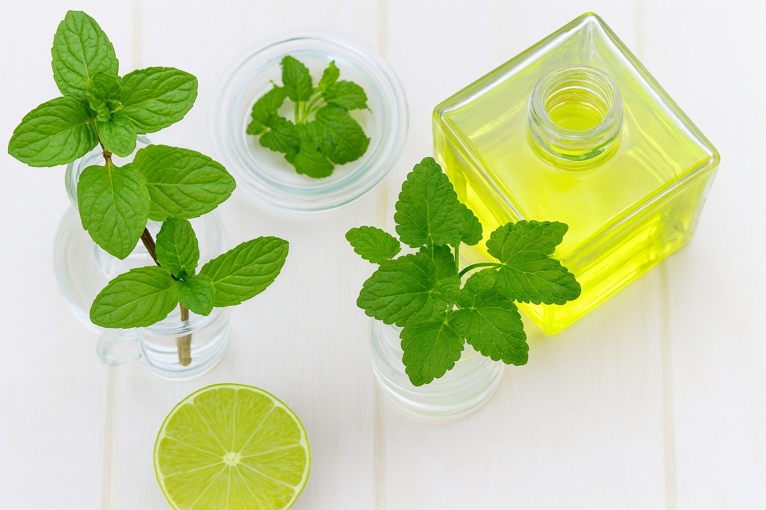 5 Health Benefits Of Mentha Or Pudina Essential Oil